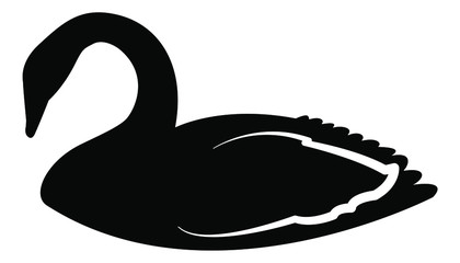 black swan vector isolated on white background