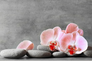 Spa stones on gray background with orchids.