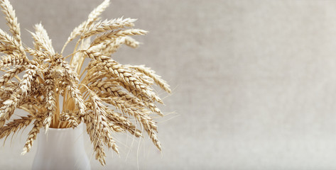 Ears of wheat close up in small white vase. Harvest time concept. Cereal crop. Banner for wensite. Monochrome still life image.