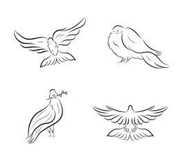 Black and white vector illustration of a pigeon.