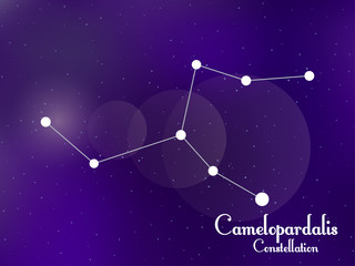 Fototapeta na wymiar Camelopardalis constellation. Starry night sky. Cluster of stars, galaxy. Deep space. Vector illustration