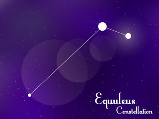 Obraz na płótnie Canvas Equuleus constellation. Starry night sky. Cluster of stars, galaxy. Deep space. Vector illustration