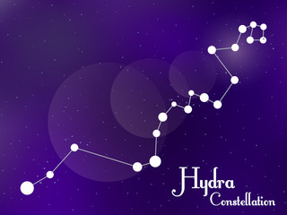Obraz na płótnie Canvas Hydra constellation. Starry night sky. Cluster of stars, galaxy. Deep space. Vector illustration