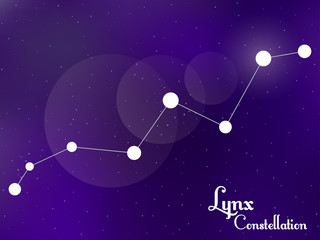 Fototapeta na wymiar Lynx constellation. Starry night sky. Cluster of stars, galaxy. Deep space. Vector illustration