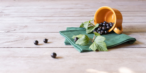 Plenty of black currant on a wooden table in clay cup sun ray on green napkin rustic mood bokeh light