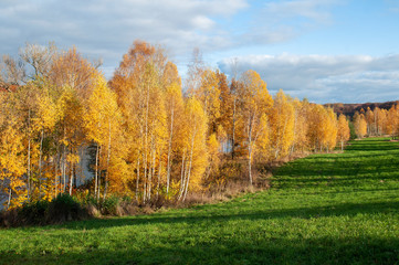 Fototapeta jesień obraz