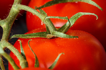 Fresh red tomatoes close-up