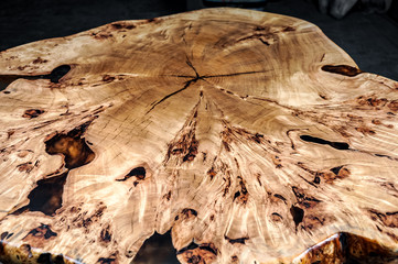 Wood surface cross section of elm tree. Live slab texture. Solid elm wooden table with epoxy resin filling. Wood countertop. Woodworking, carpentry, furniture production. Shallow depth of field. - obrazy, fototapety, plakaty