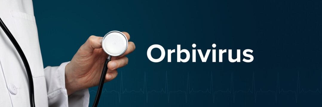 Orbivirus. Doctor in smock holds stethoscope. The word Orbivirus is next to it. Symbol of medicine, illness, health
