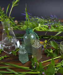 herbal ingredients for a wiccan spell