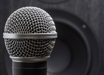 Microphone and speaker