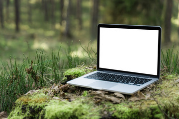 Laptop outside concept. Empty copy space, blank screen mockup. Soft focus laptop in nature background. Ecology travel and work outside office concept. - 341031207