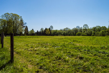 Fototapeta na wymiar View of a meadow in La Gaume in Virton