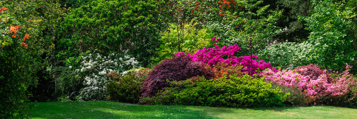Prachtige tuin met bloeiende bomen in de lente, Wales, VK, bannerformaat