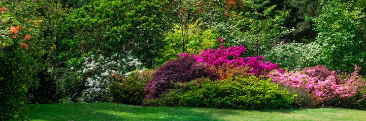 Foto op Aluminium Prachtige tuin met bloeiende bomen in de lente, Wales, VK, bannerformaat © manuta