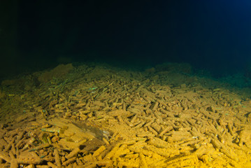 bullets lie around the floor of a sunken ship as they were once its cargo. The vessel that held...