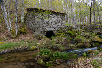 Path along the Xabrega river in Lugo, with several old water mills.