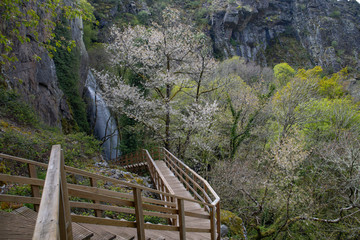 Fototapeta premium Access and environment of the Augacaida waterfall in Lugo, Galicia, Spain.