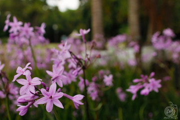 Una perspectiva diferente