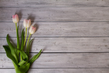 Layout made of tulip flowers. Spring flower background, view from above