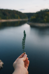 Woman holding a small leaf front beautiful landscape in Zvikov Castle, Czech Republic. Film effect, author processing of photo