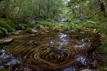 Natural pools formed by the Cerves river in the province of Orense, Galicia, Spain.