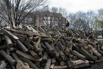 Firewood storage