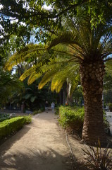 path in the park