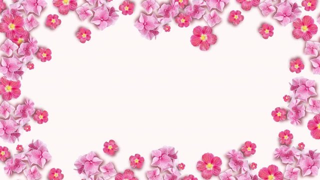 Flower blooming, opening its blossom. Dynamic and bright pattern. Valentine Day, Mother Day animated template with copy space. Wonderful nature