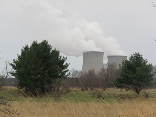 nuclear plant and nature