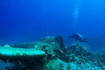 Fototapeta premium A scuba diver exploring an underwater sunken plane called the Betty Bomber in Chuuk Lagoon. The Japanese aircraft was destroyed in operation hailstone during the second world war