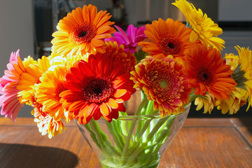 Colorful gerber daisies in a glass vase on a wooden table in a bright modern room, retro spring...