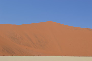 Düne in der Namib