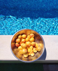 There is a metal bowl of apricots on the edge of the pool. The blue water in the pool shimmers and...
