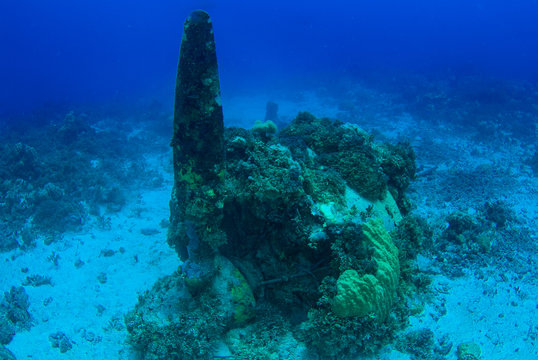 A Shot Of A Propeller From An Underwater Sunken Plane Called The Betty Bomber In Chuuk Lagoon. The Japanese Aircraft Was Destroyed In Operation Hailstone During The Second World War