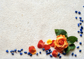 Flat shot, top view of a flower arrangement of a yellow-red rosebud lying on white sand. Corner frame with a flower, rose petals and blue stones on a white background.