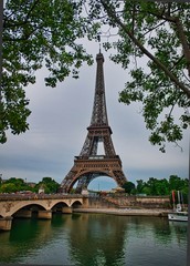 Fototapeta na wymiar View on the famous paris eiffel tower from the promenade of the Seine .