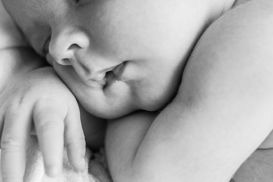 A black and white portrait, macro shot. Mom and her baby. The concept of a happy family. Beautiful conceptual image of motherhood. Mothers Day.