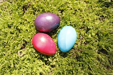 easter eggs in grass