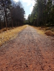 Fototapeta premium Follow your path