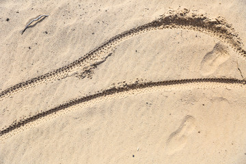 bike or bicycle tracks in the sand close up