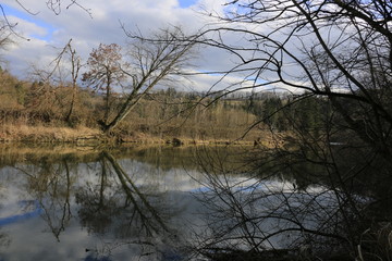 lake in the forest