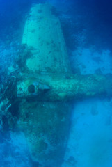 A sunken plane in Chuuk Lagoon. This Japanese wreck is called the Betty bomber and is a popular...