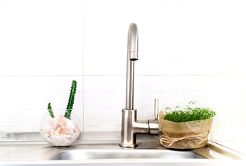 Biophilic design in the light Kitchen background. Wabi Sabi Style or Coronavirus Protection.