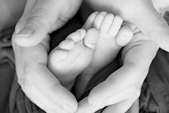 
Black and white photo of the feet of a child in the arms of the mother. Macro shot. Mom and her baby. The concept of a happy family. Beautiful conceptual image of motherhood.