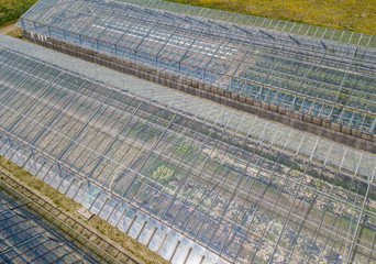 Aerial view of transparent greenhouse for vegetable cultivation. Farming with horticulture.