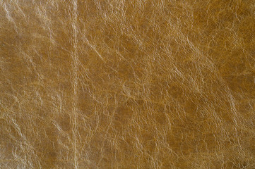 Brown Luxury leather samples close-up. Can be used as background. Industry background