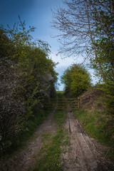 Old Rustic Farm Gate in the Yorkshire Countryside with a Dirt Road