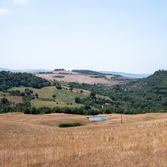 Fototapeta premium Tuscan landscape with meadows and trees on a sunny summer day, Italy