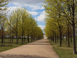 Die Allee der Steine in der Lausitz